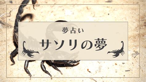 夢占い さそり|【夢占い】サソリの夢の意味29選｜あなたの心理状態や意味を徹 